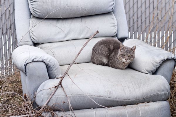 Recliner Disposal in Pleasant Grove